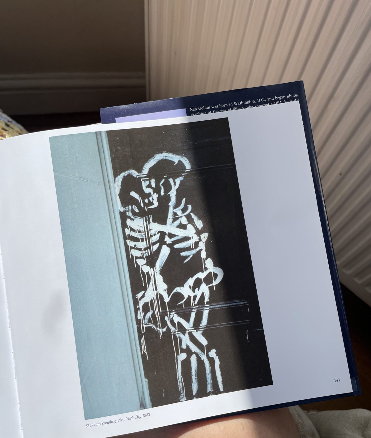 The image as object [Nan Goldin & me] | Simone de Villiers | Darklight Digital