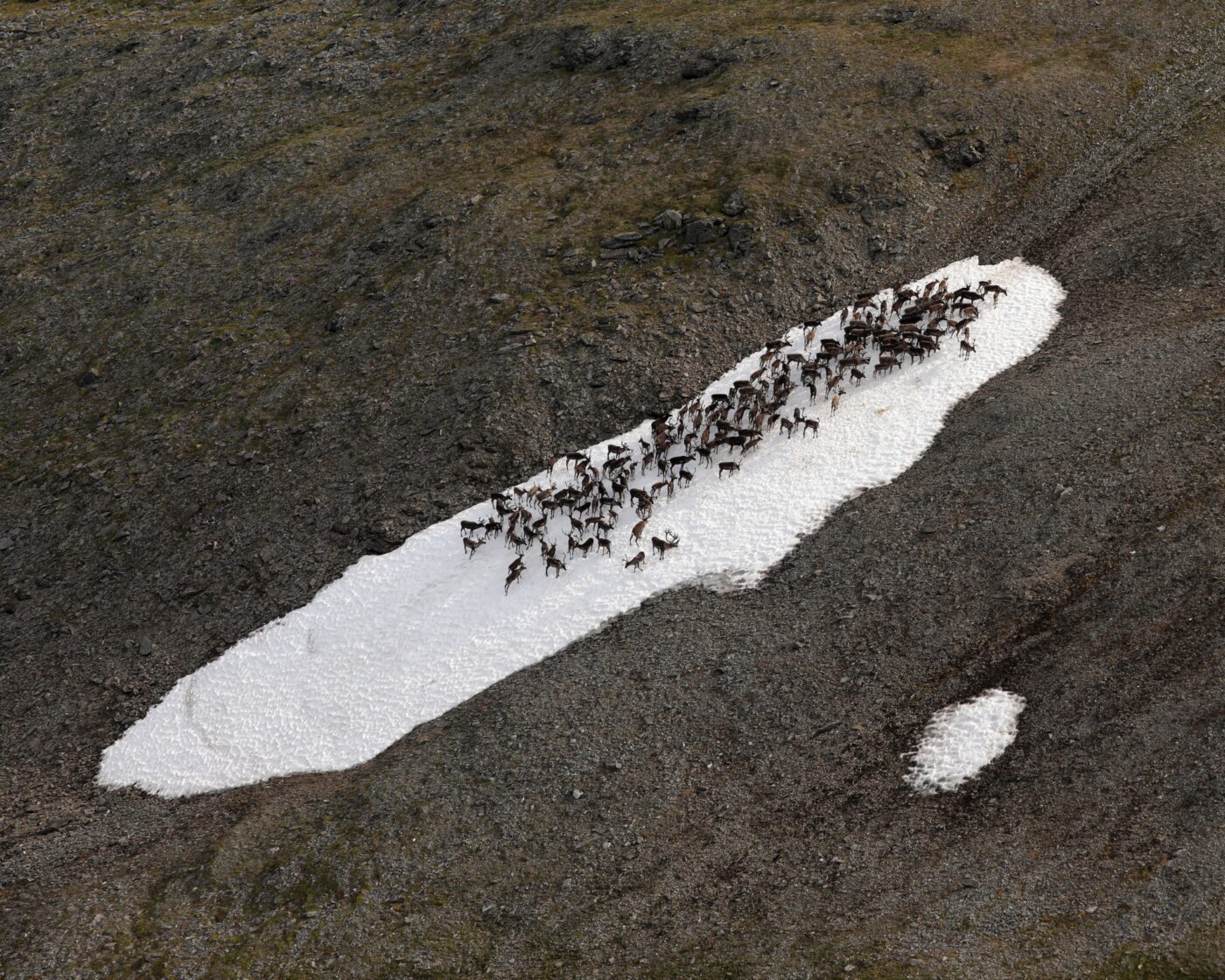 arctic national wildlife refuge alaska native hero 2000x1600 1 1400x1120 1