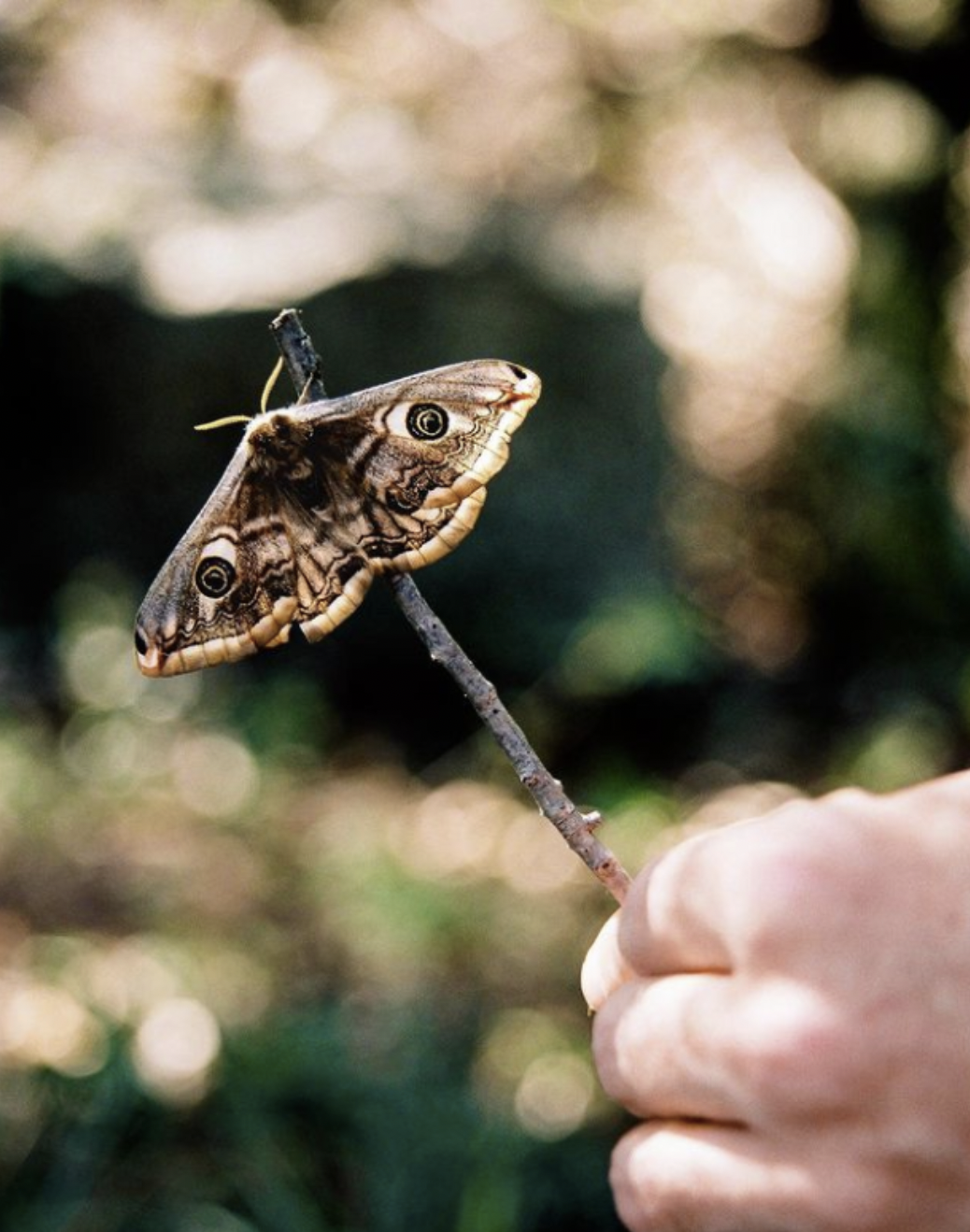 agv vucfor7hbmabjxyyf rmds37tsf5pb9m8iz u1ecn9pirhiu8j ekufsro3zmyihgok7nxklwlmzizydiodqybrqtz0nqpkxyvdmglyjwobzmxekpqwlyojh5bhh1ekpq168m3ng2u9rhy2tujqdbno2ktyj6s0s2048 22355